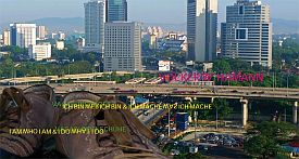 Volker W. Hamann 2009