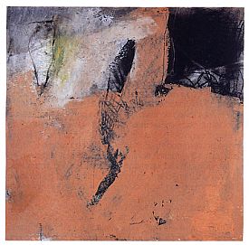 Ingeborg Van Loock, Salamander